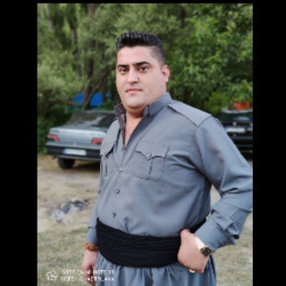 Omid_hajimamyani_official