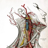 Dissecting room
