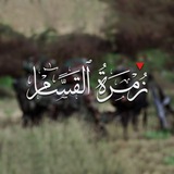 زُمْرَةُ الْقَسَّامِ