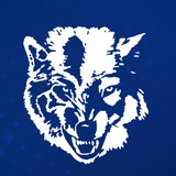 ФК «Ислочь» 🐺
