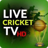Cricket Conversation