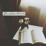 سور قرآنية كاملة