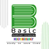 BMS.MICROBIOLOGY ✔
