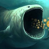 Crypto Whale Trading