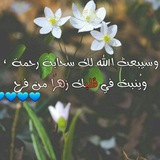 اقتباسات دينية ❤️