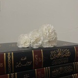 الفوائد