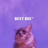 Best bio's✨