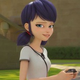 Miraculous Theories 馃悶 馃樇