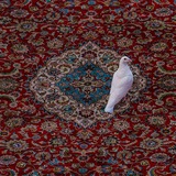 ``حُبِّ مُعتّقْ~~