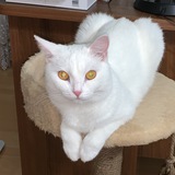 Мадина Касимовна Ибрагимова