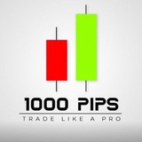 Primax Trading