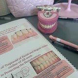 The dental books library 🦷 📚