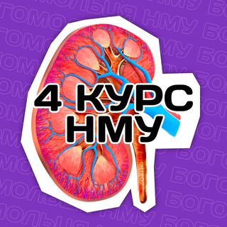 MEDIUS | 4 КУРС