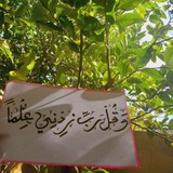 وَقُل رَّبِي زِدْنِي عِلْمًا 💙 🤲🏻