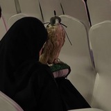 عذوبّ𓄄.