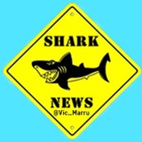 📰 📈 SHARK NEWS <i class="emoji" style="background-imag