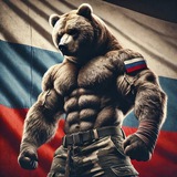 BEARЛОГА 🪖