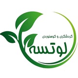 Channel Logo