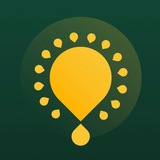 Картинка канала