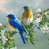 Картинка канала