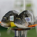 Картинка канала