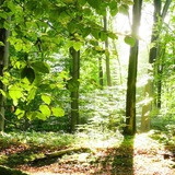 Картинка канала