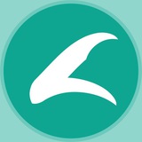 Картинка канала