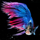 Картинка канала