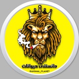 Картинка канала