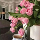 Картинка канала