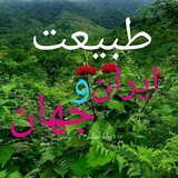 Картинка канала