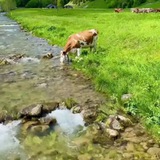 Картинка канала