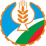 Картинка канала