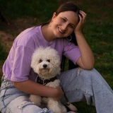 Картинка канала