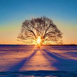 Картинка канала