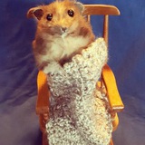 Картинка канала