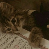 Картинка канала