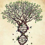 Картинка канала