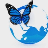 Картинка канала