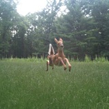 Картинка канала