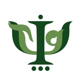 Картинка канала