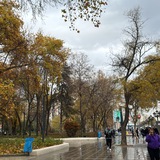 Картинка канала