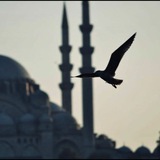 Картинка канала