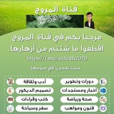 Картинка канала