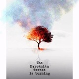 Картинка канала