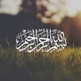 Картинка канала