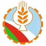 Картинка канала