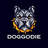 Картинка канала